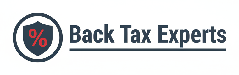 Back Tax Experts logo